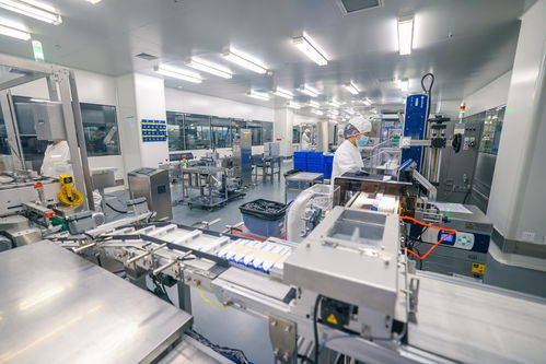 长春新区向“新”求“质”推动民营经济发展壮大，商业综合体管理服务再升级